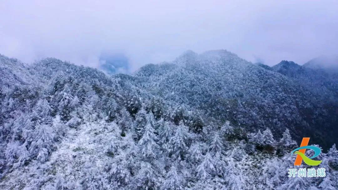 美如仙境！元旦有人一起去雪宝山赏雪的吗？_半岛官网App下载(图2)