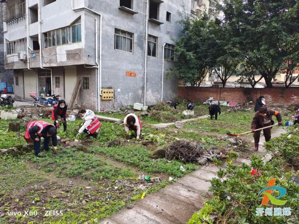 开州一街道帮助老百姓清除空地农作物、乱扔垃圾等【bat365官网登录】