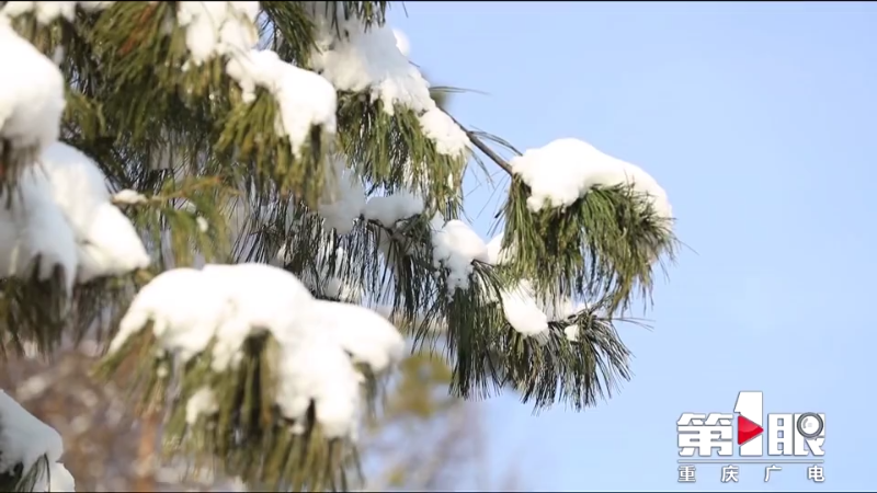 Kaiyun官方网站-雪宝山迎来大降雪，吸引了不少市民登山赏雪、欢度春节！(图2)