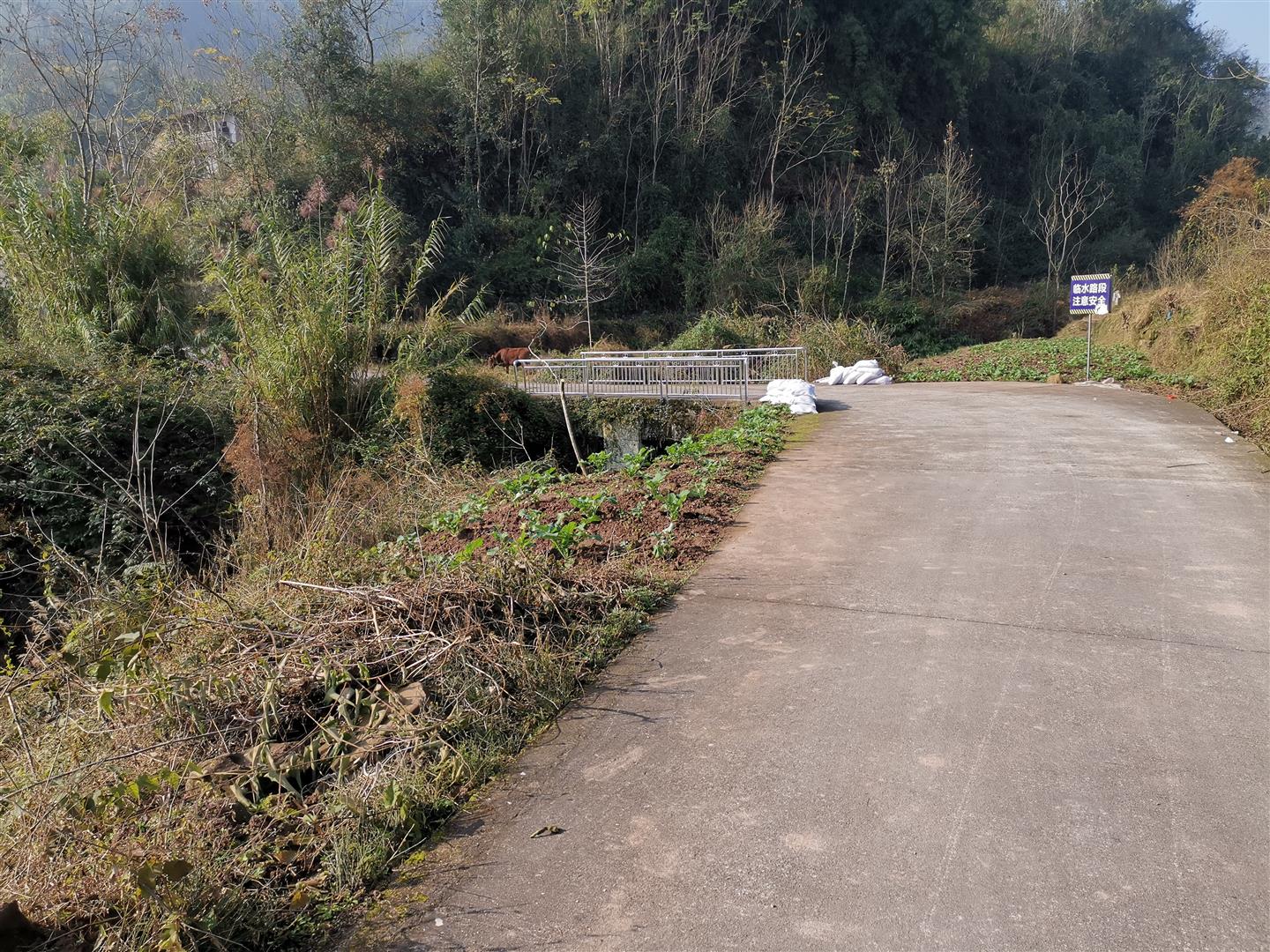 南雅镇一条村级公路硬化，这一切多亏了...【雷火电竞首页】(图3)