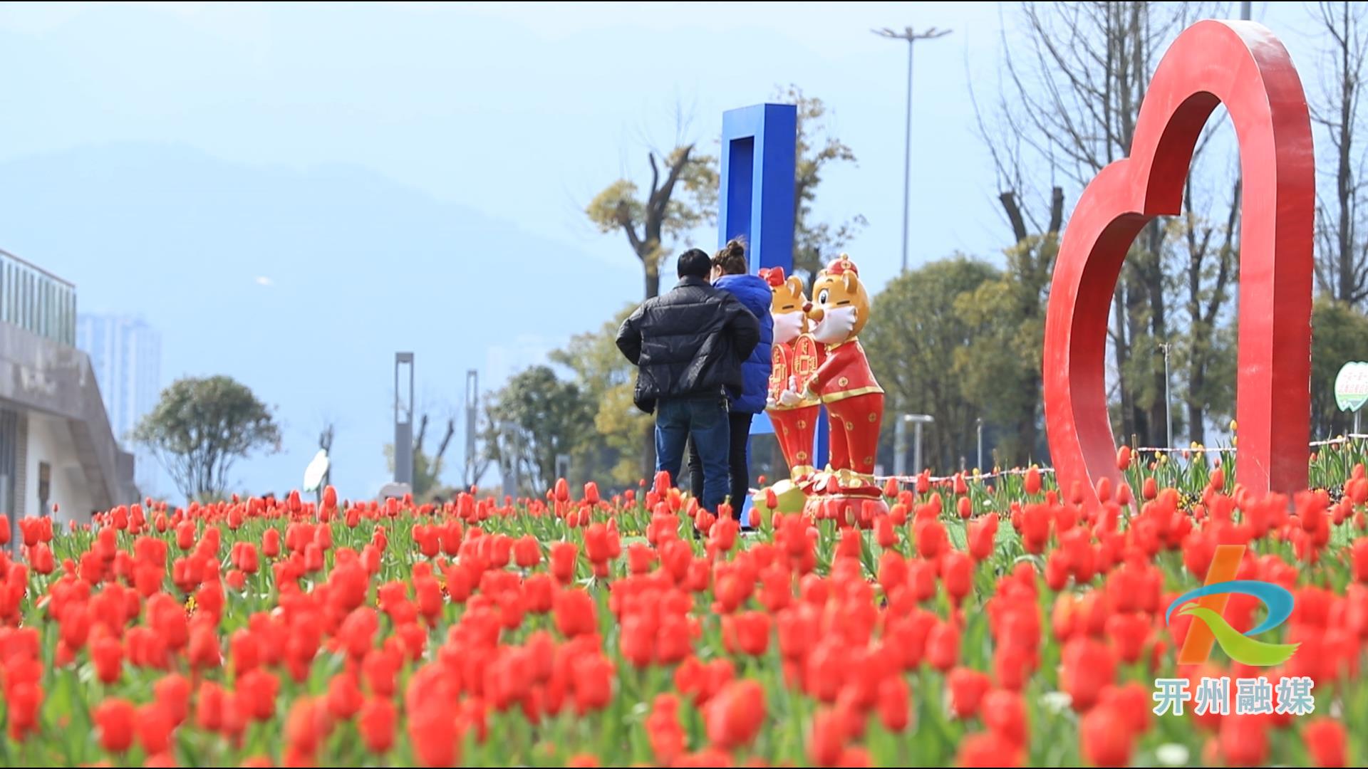 开州新增一个“网红”花海打卡地，位置就在..“泛亚电竞”(图2)