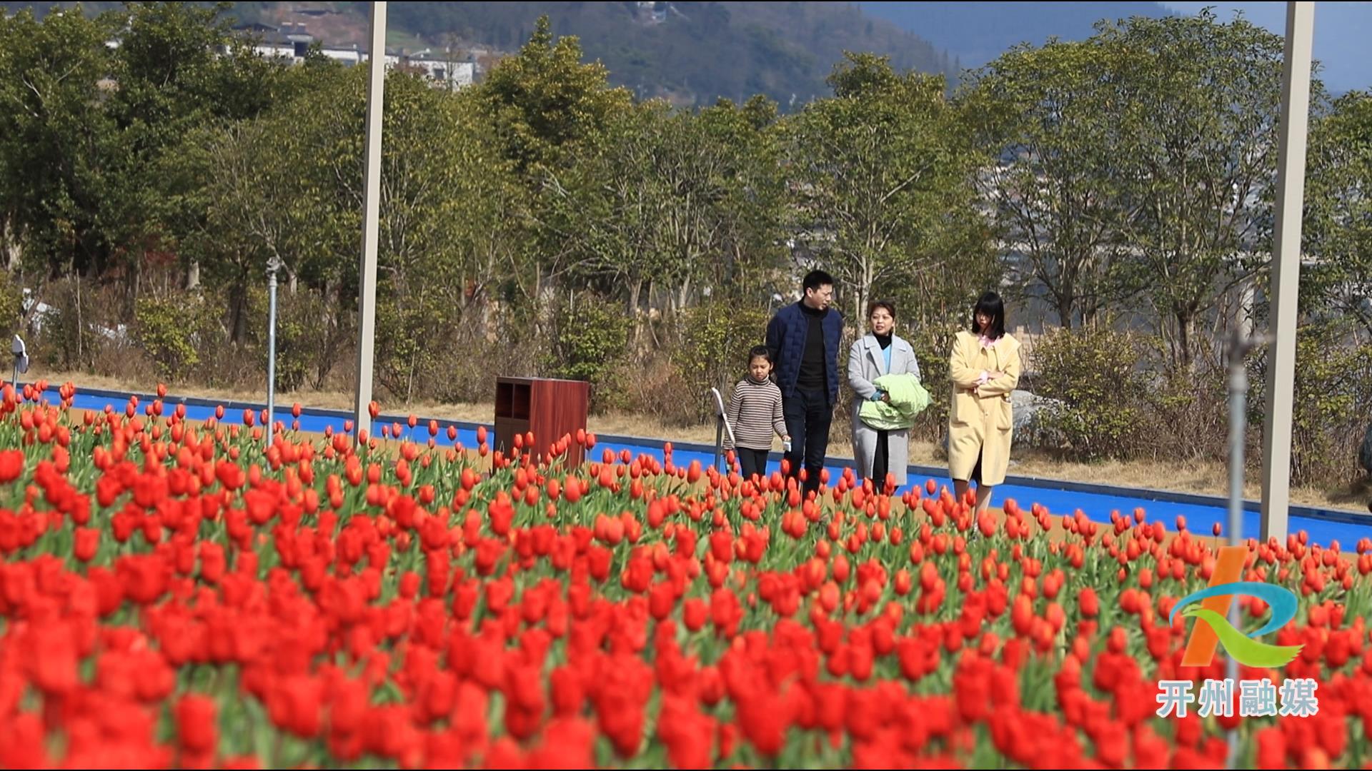 开州新增一个“网红”花海打卡地，位置就在..|雷火电竞在线登录官网(图3)