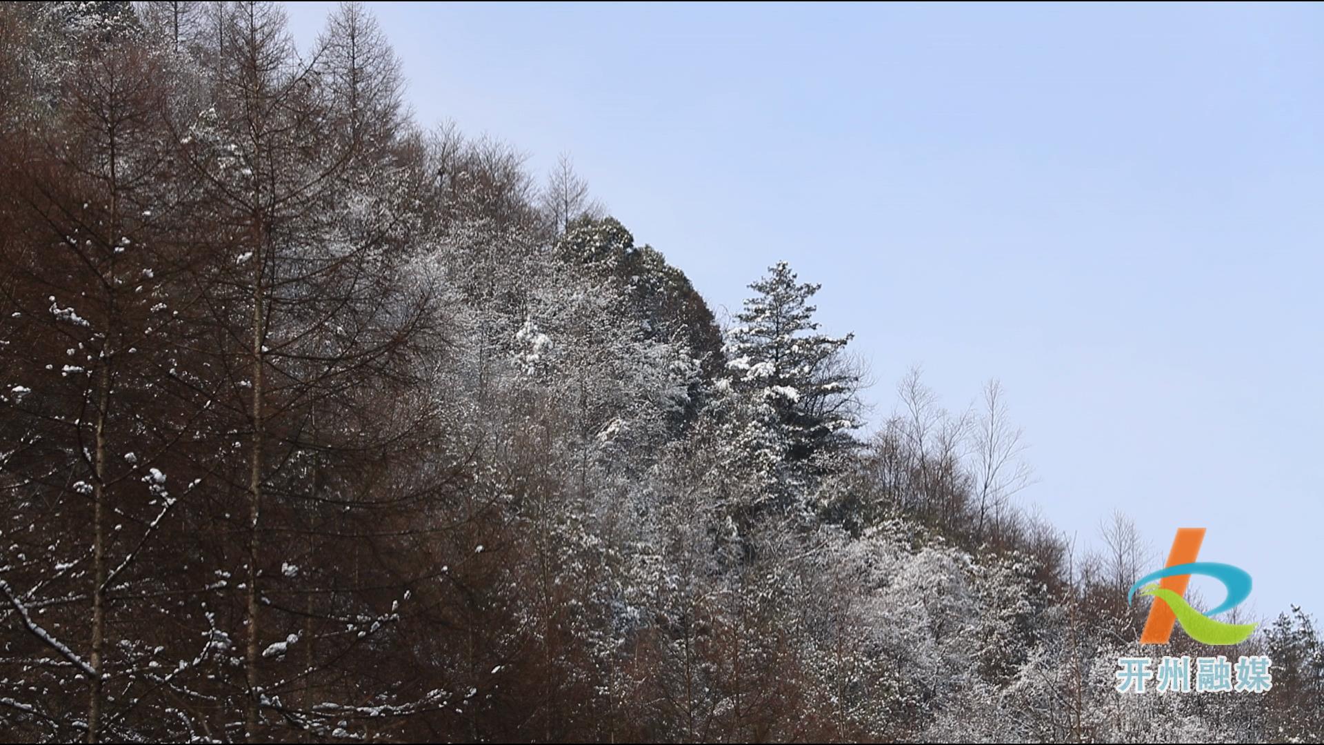 雷火电竞首页_开州雪宝山又下雪了，抓紧时间看最后一波雪景！(图2)