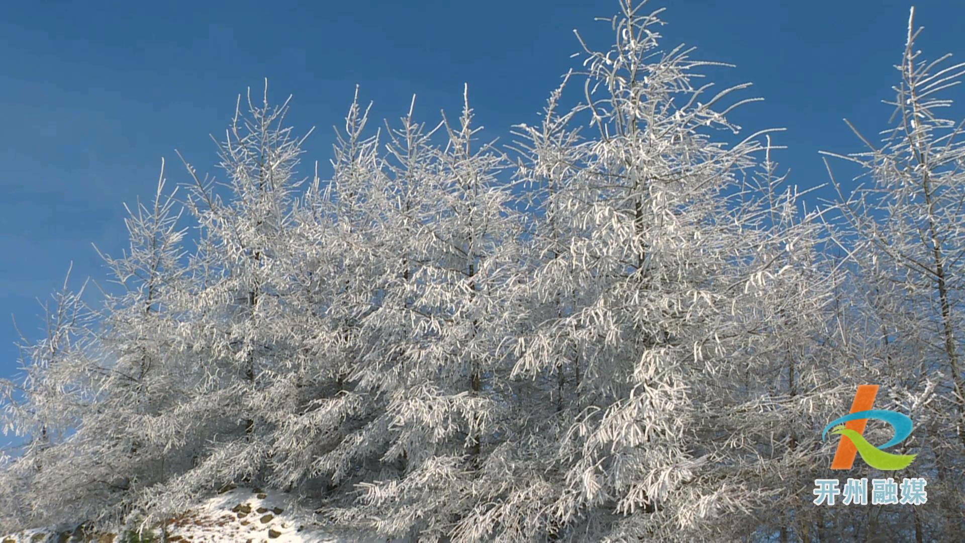 雷火电竞首页_开州雪宝山又下雪了，抓紧时间看最后一波雪景！(图5)