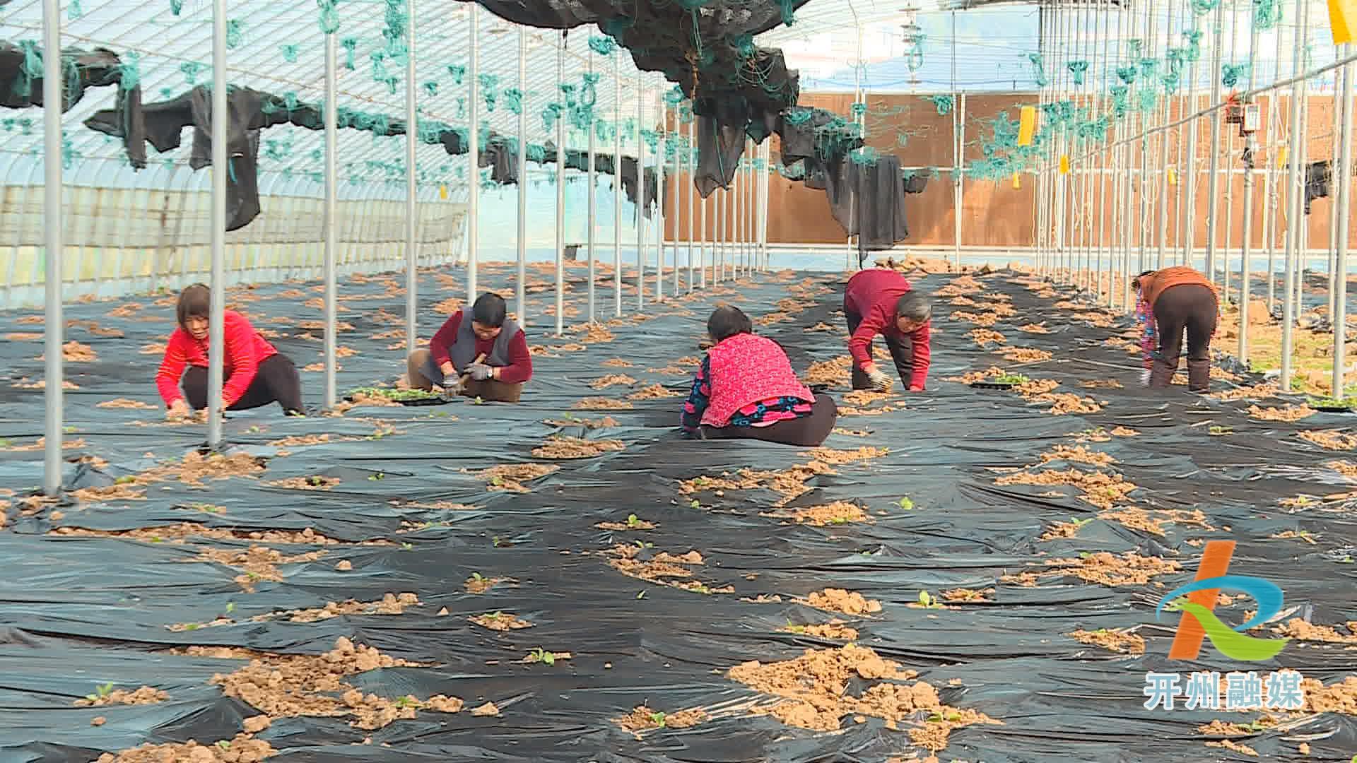 雷火电竞首页：又是一年春耕时节，农户们正在播种新的一年希望！(图6)