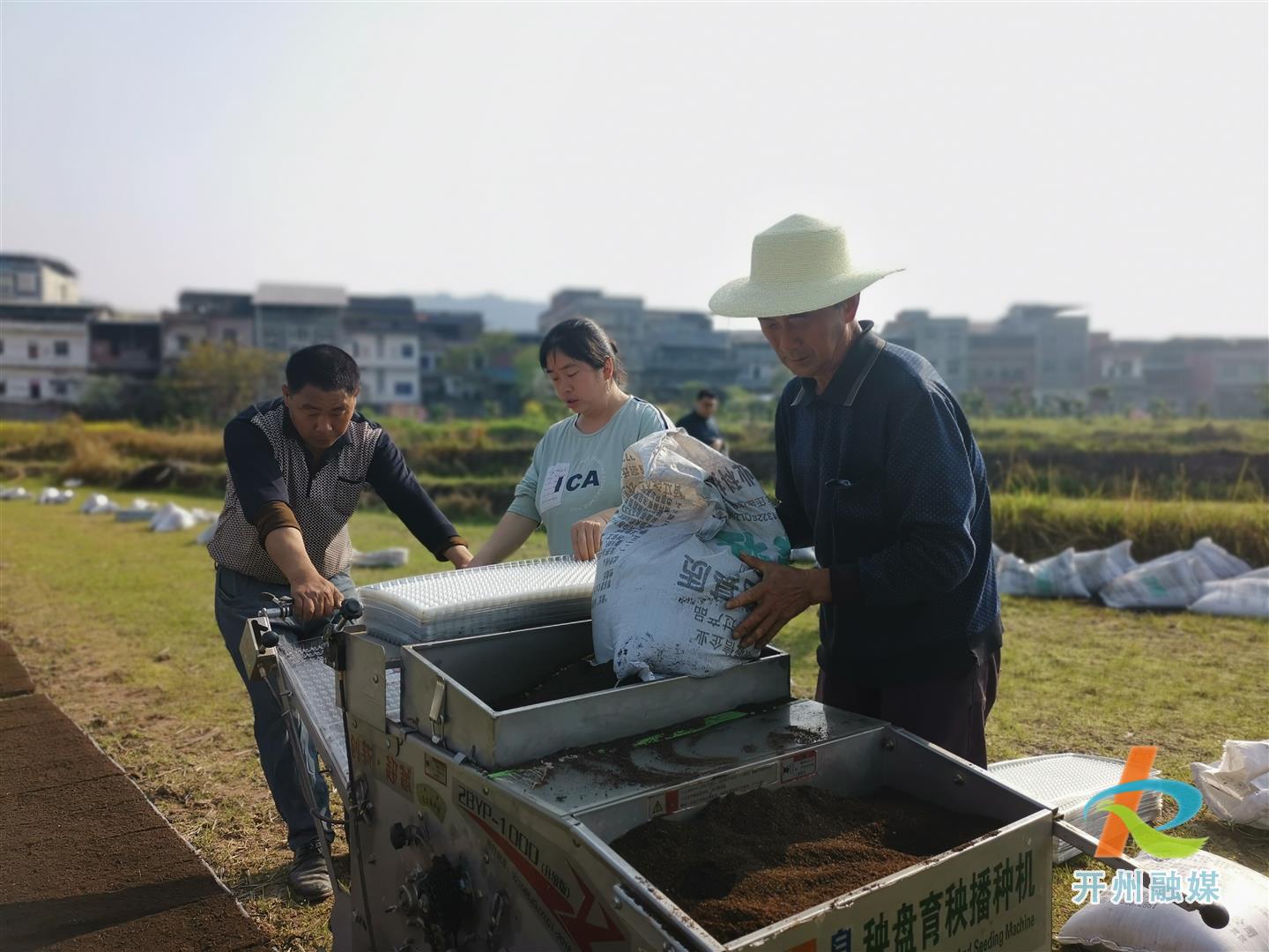 半岛官方下载地址-临江镇万亩水稻进入育秧阶段，机械化播种达到5000亩(图4)