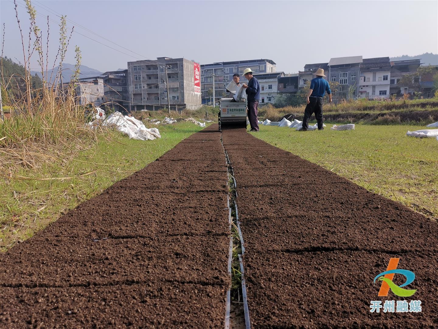 半岛官方下载地址-临江镇万亩水稻进入育秧阶段，机械化播种达到5000亩(图3)