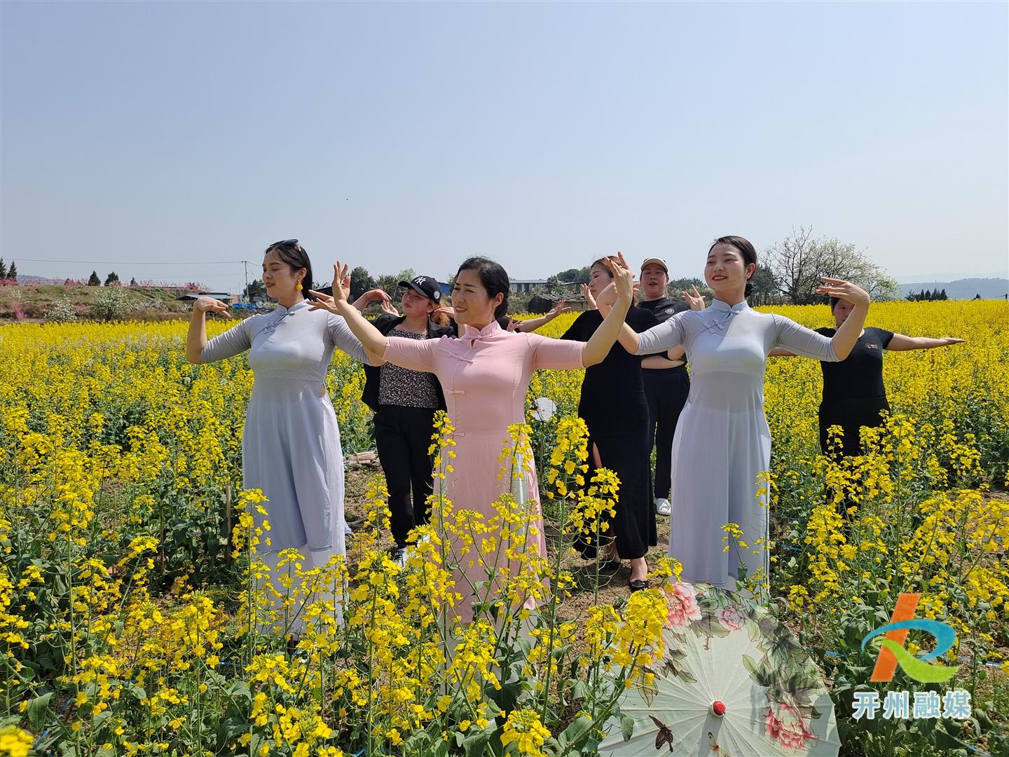 金沙官方登录入口-太神奇了！开州的这个街道油菜花不仅仅是黄色，还有多种颜色(图4)