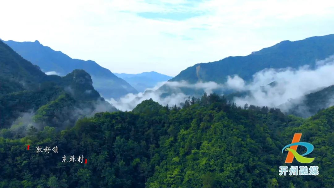 开州贡茶的原产地，历经千年，这里的茶业发展依然生生不息……‘半岛官网App下载’(图1)