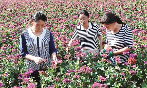 im电竞官方网站：好样的！开州大进这个女子了不起，带领村民发家致富...(图2)