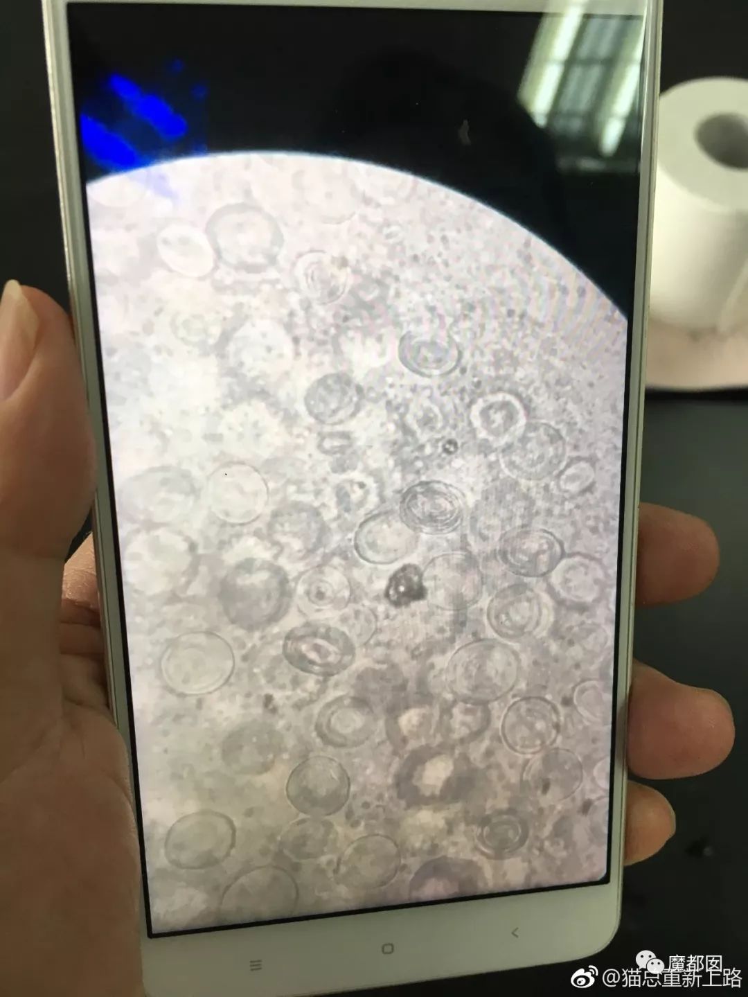 微信图片_20220921103819.jpg