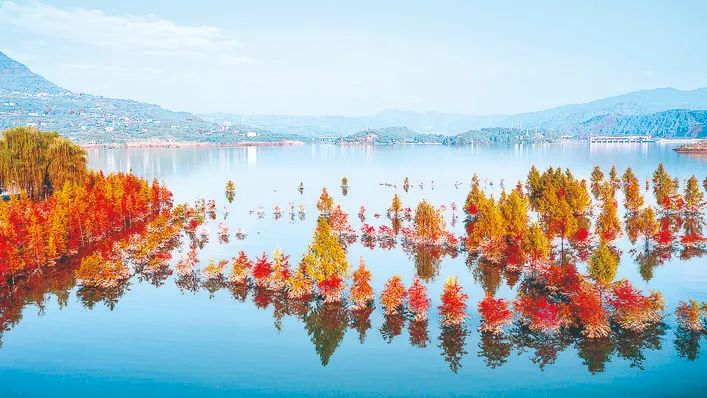 快来看我们的开州汉丰湖，美成一幅山水画！“半岛官方下载入口”(图4)