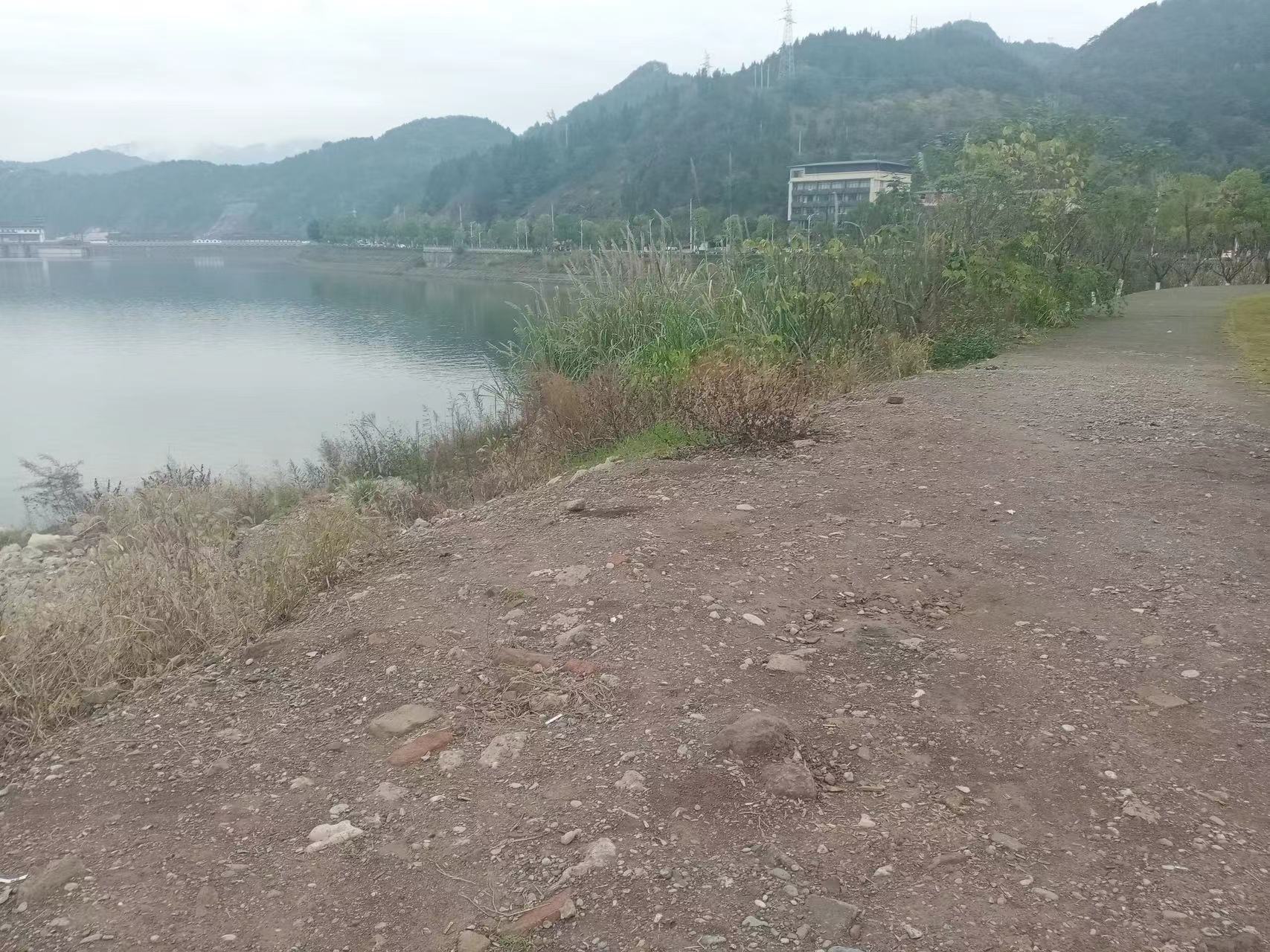 关于文峰街道木桥村外面的汉丰湖河提绿化未恢复的回复来啦！：云开·全站APPkaiyun(图4)