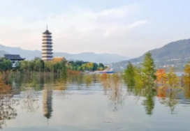 微信图片_20221221142015.png