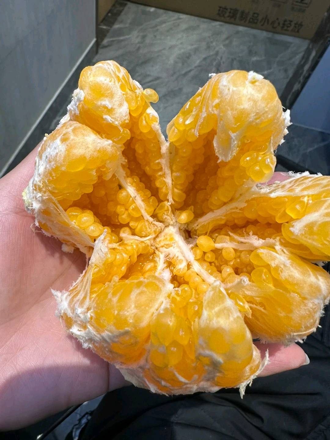 105254tpvn4snajjj4ejsj.jpg