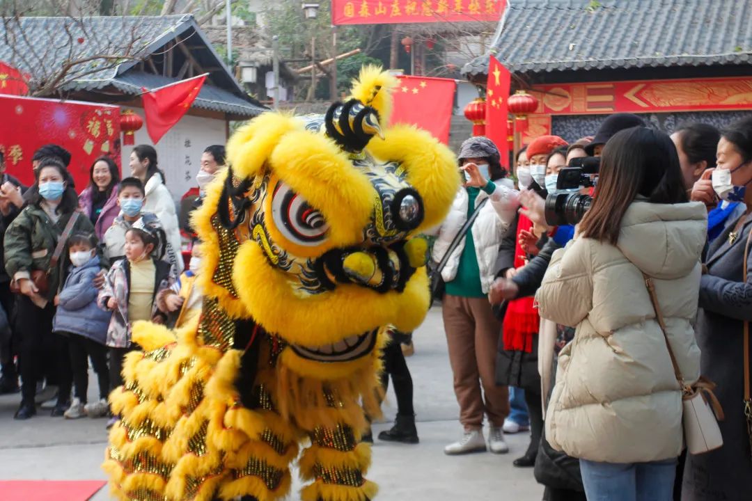 开州“年味开州情满城”第六届年猪文化旅游季在盛山植物园盛大开幕-九游会j9网站首页(图7)