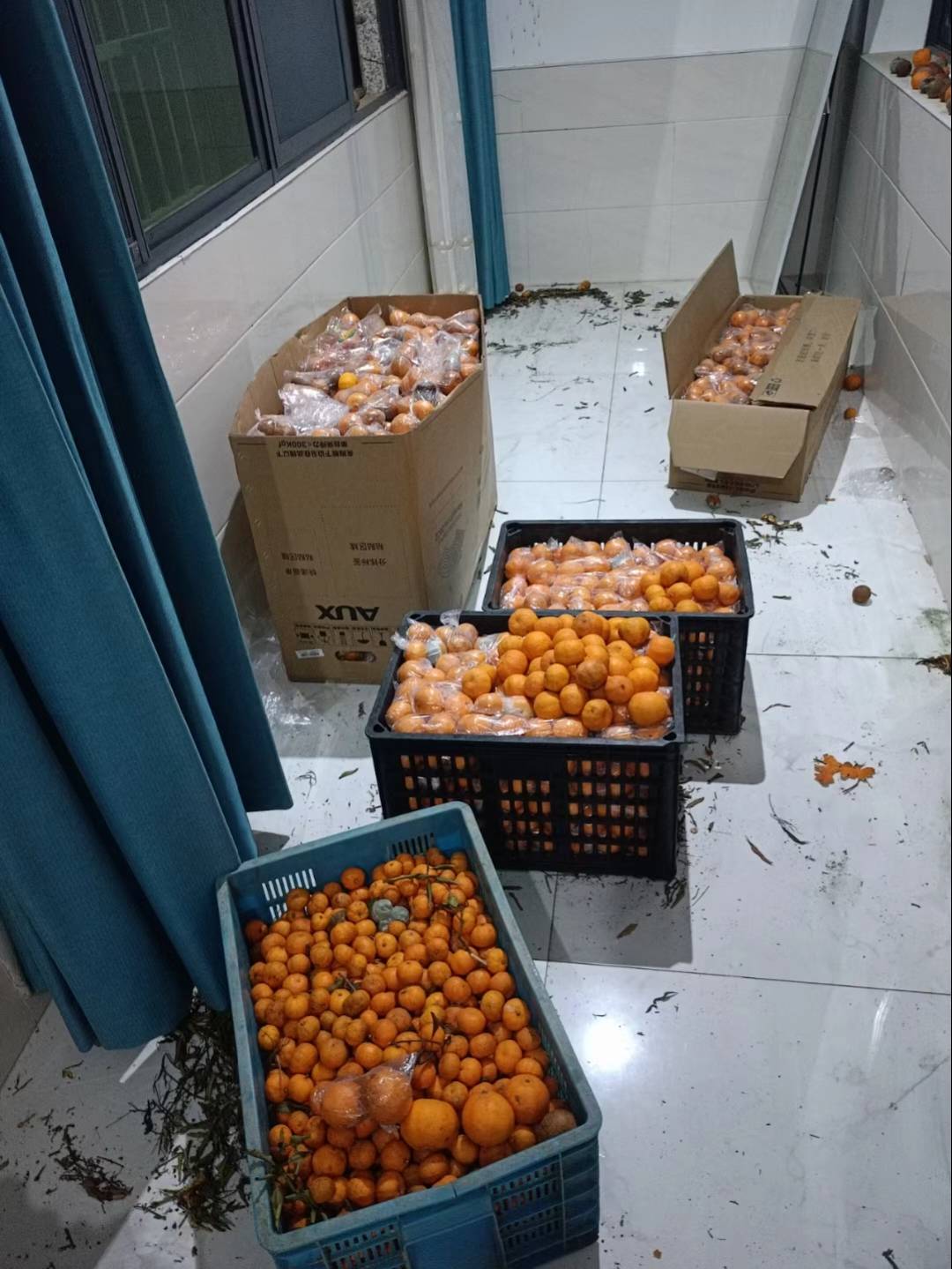 073711xmefoaw1uzaf1wwx.jpg
