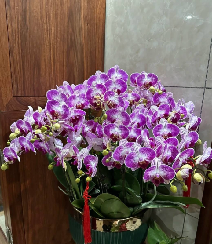 微信图片_20230116154822.png