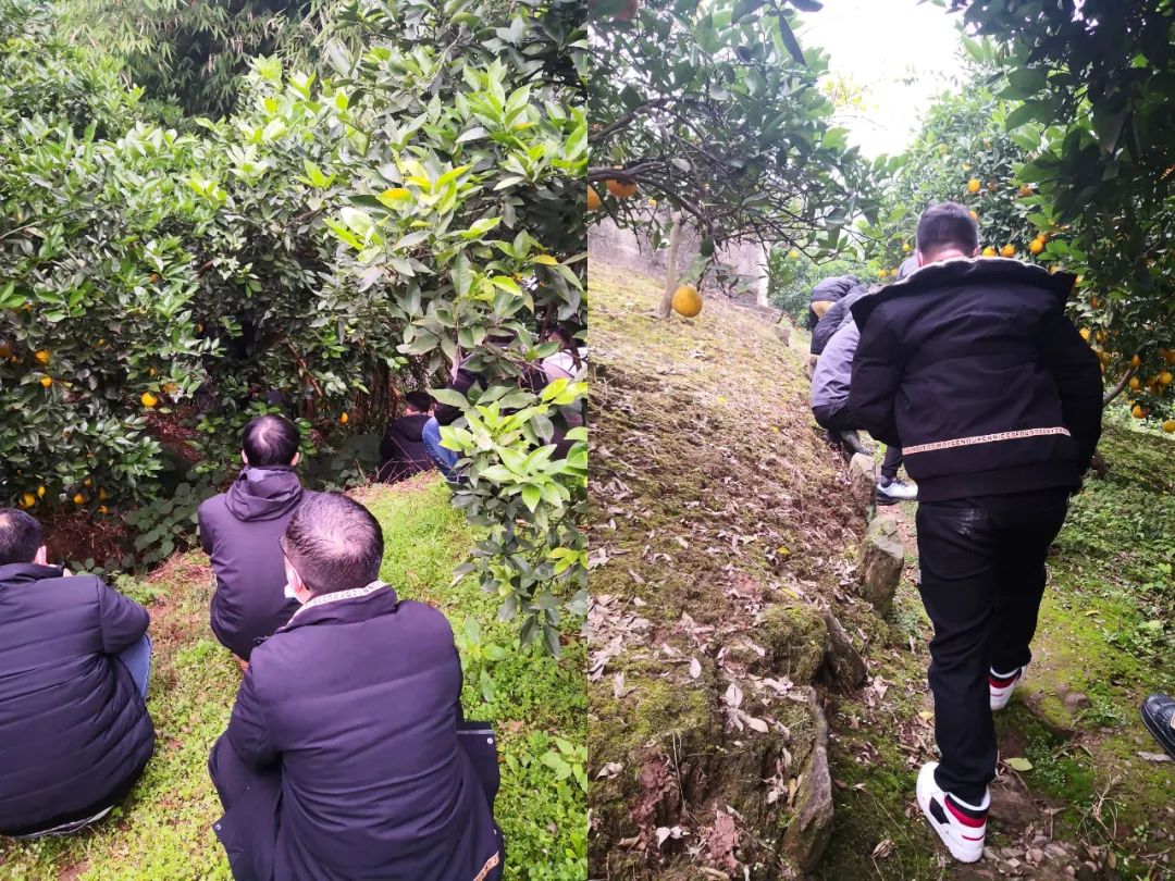 雷火电竞在线登录官网|过年，不法分子盯上了开州农民丰收的钱袋子，这项活动你严厉打击！(图1)