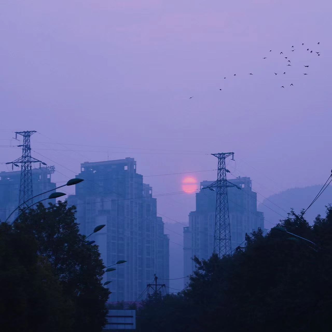 微信图片_20230203094532.jpg