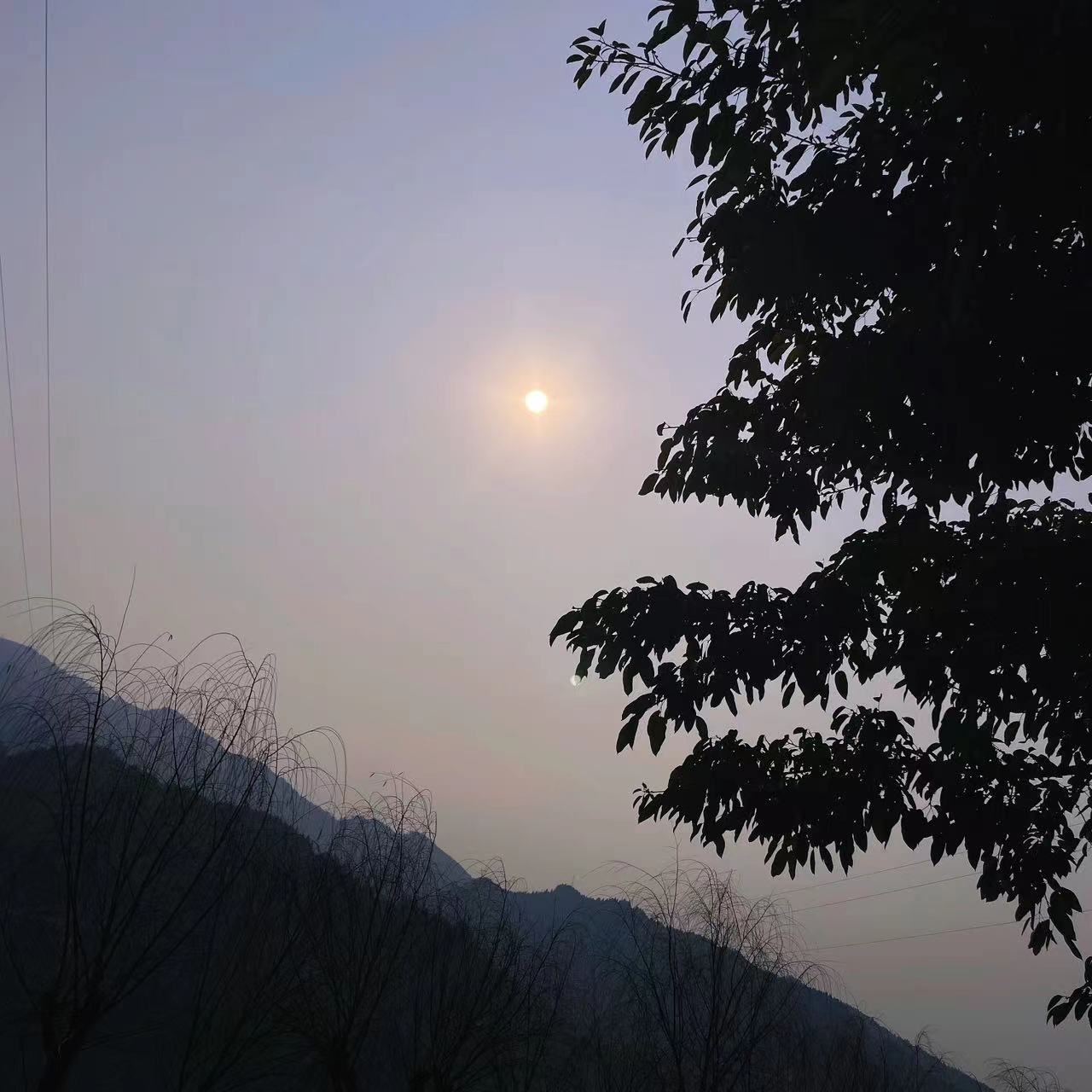 微信图片_20230203173108.jpg