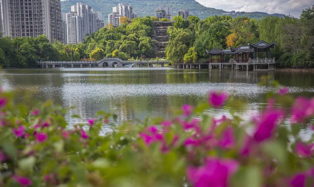 泛亚电竞官网_2023年春季赏花点位发布，开州有这些观赏花卉的好去处！(图5)