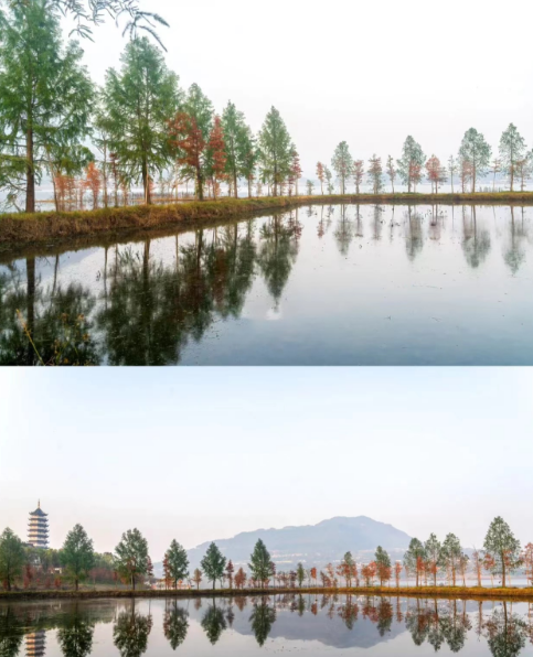 微信图片_20230207160239.png