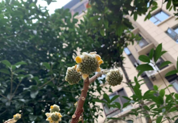 微信图片_20230209160533.png