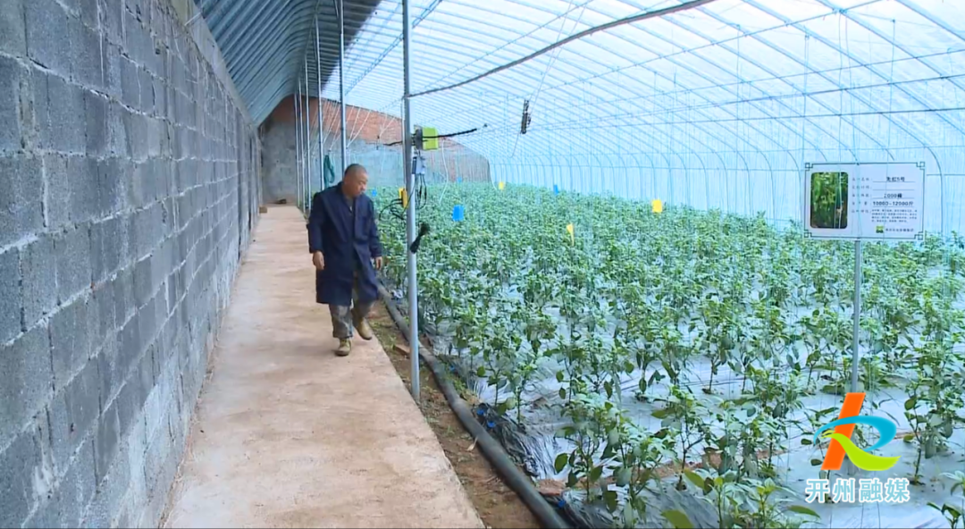 雷火电竞在线登录官网-春回大地，建设开州美丽乡村在路上······(图4)