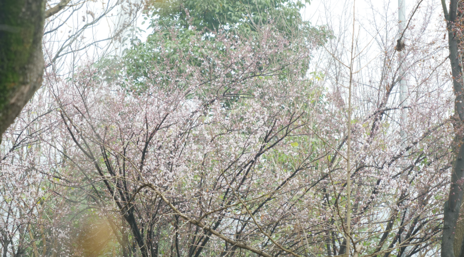 a98f44c9227840e9ecda160d4e5e1f1.png