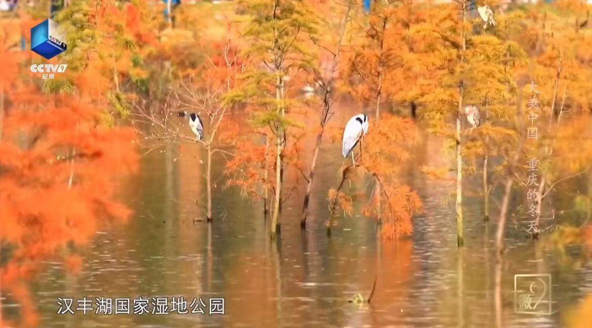 微信图片_20230303152559.jpg