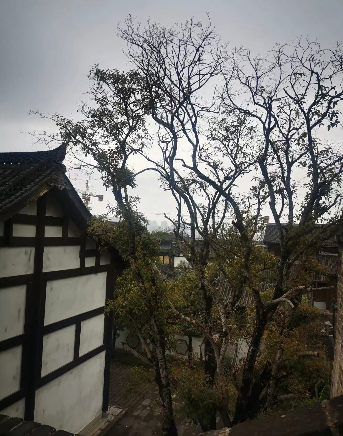 微信图片_20230307143147.jpg