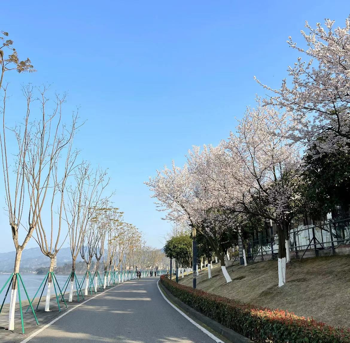 微信图片_20230307144514.jpg
