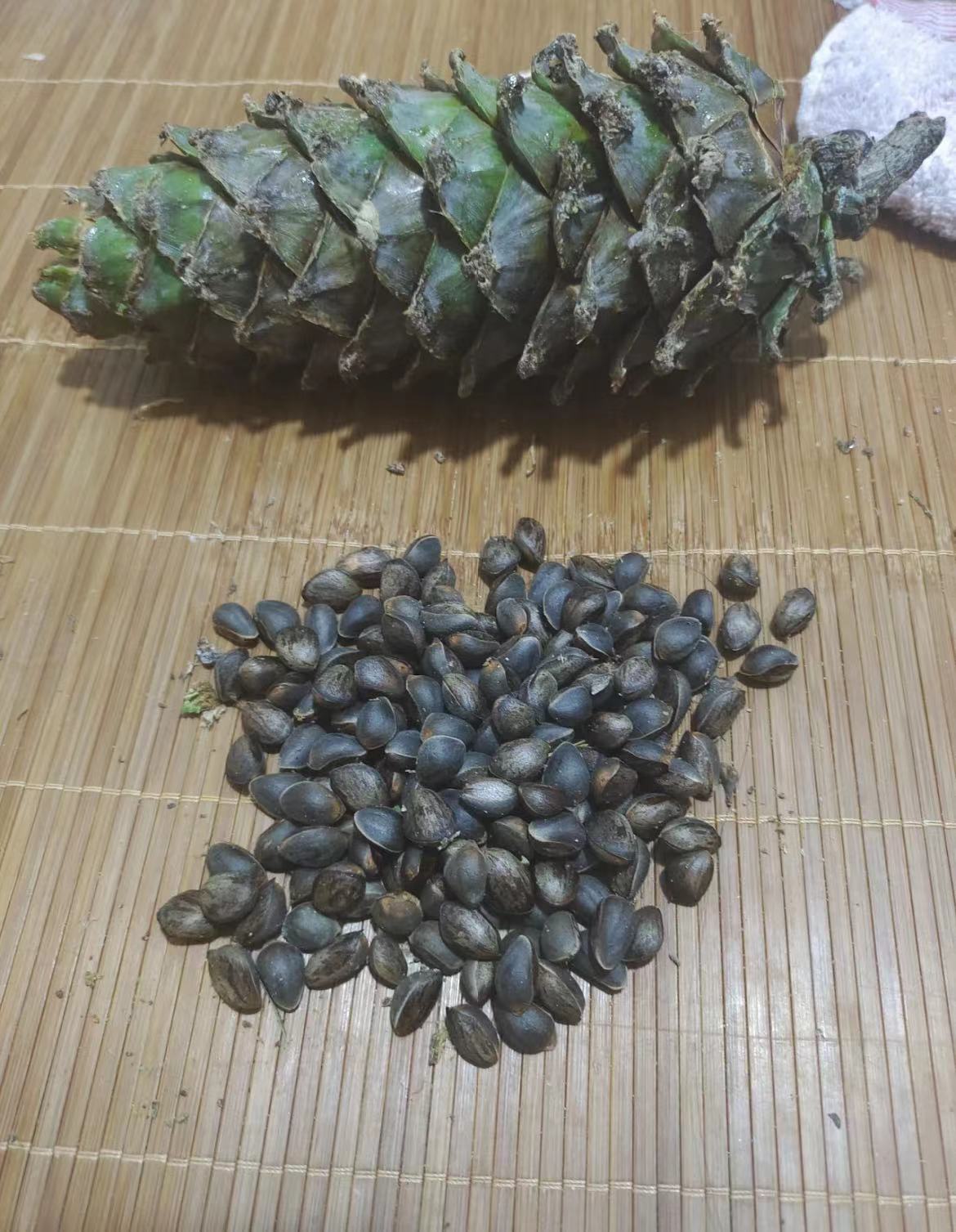 微信图片_20230307155845.jpg