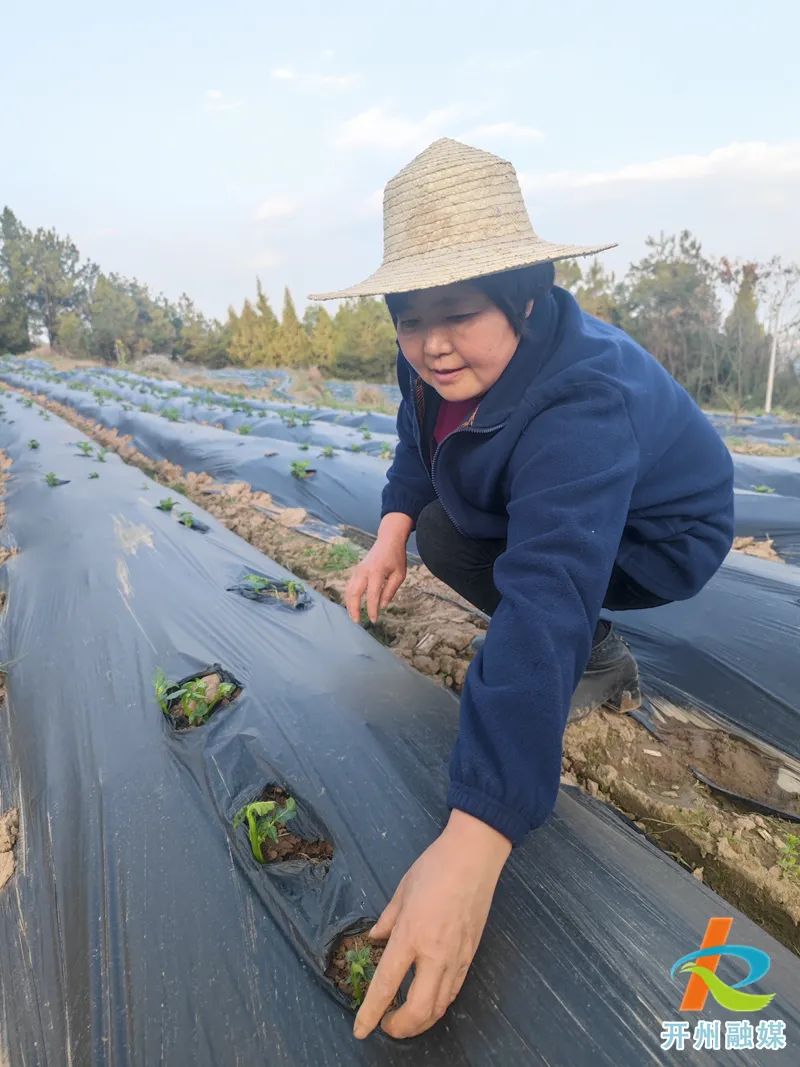 点赞！开州区1个集体、1名个人获全国妇联表彰！|雷火电竞在线登录官网(图2)