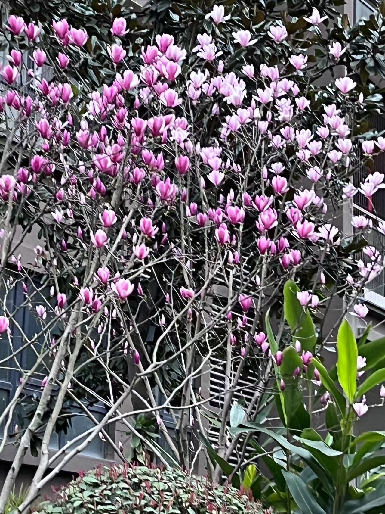 微信图片_20230309150959.jpg