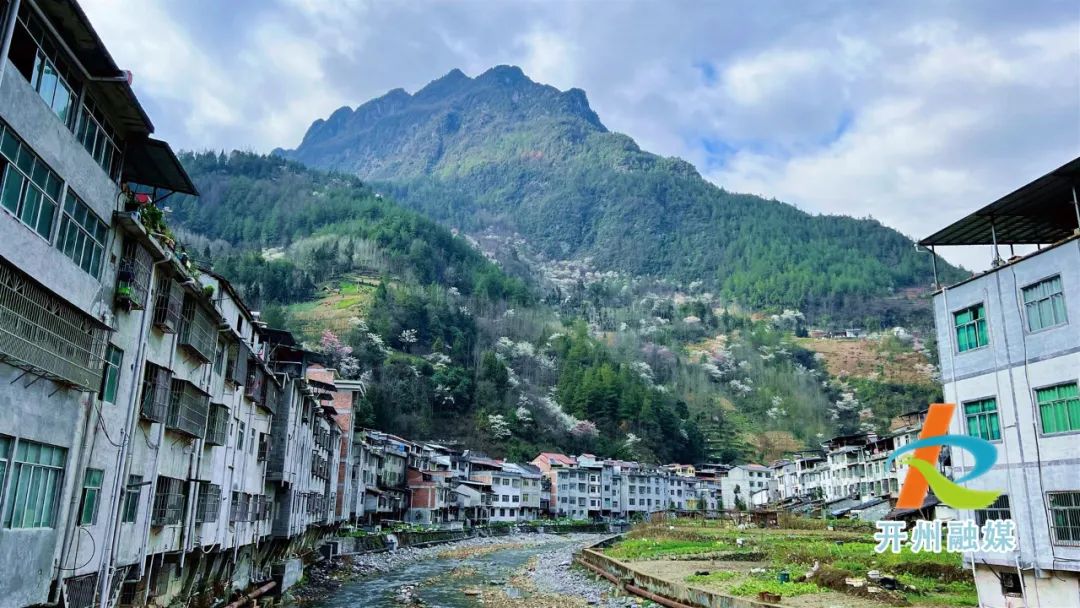 开州雪宝山镇野樱桃花开了！风景如画|泛亚电竞(图12)