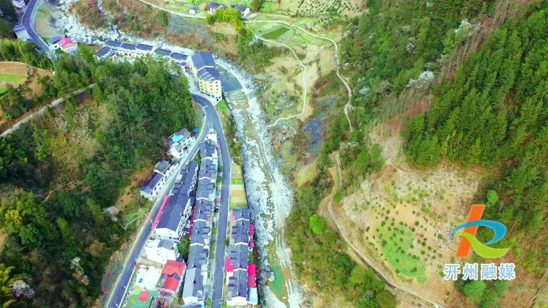 ‘雷火电竞在线登录官网’开州雪宝山镇野樱桃花开了！风景如画(图5)