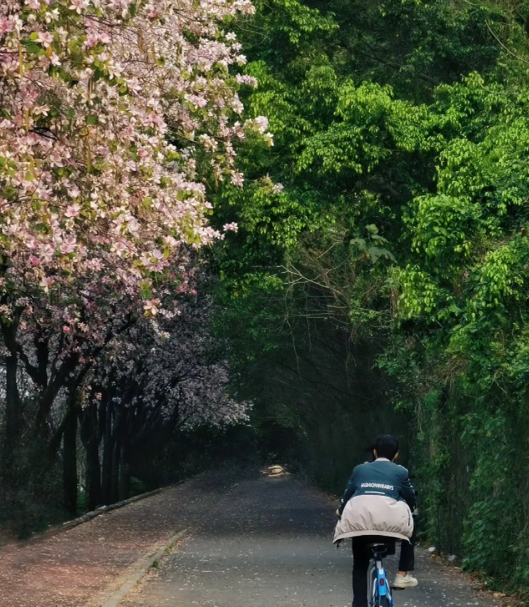 d59d6f94db17f1285e41aee6f6eb9cb.png