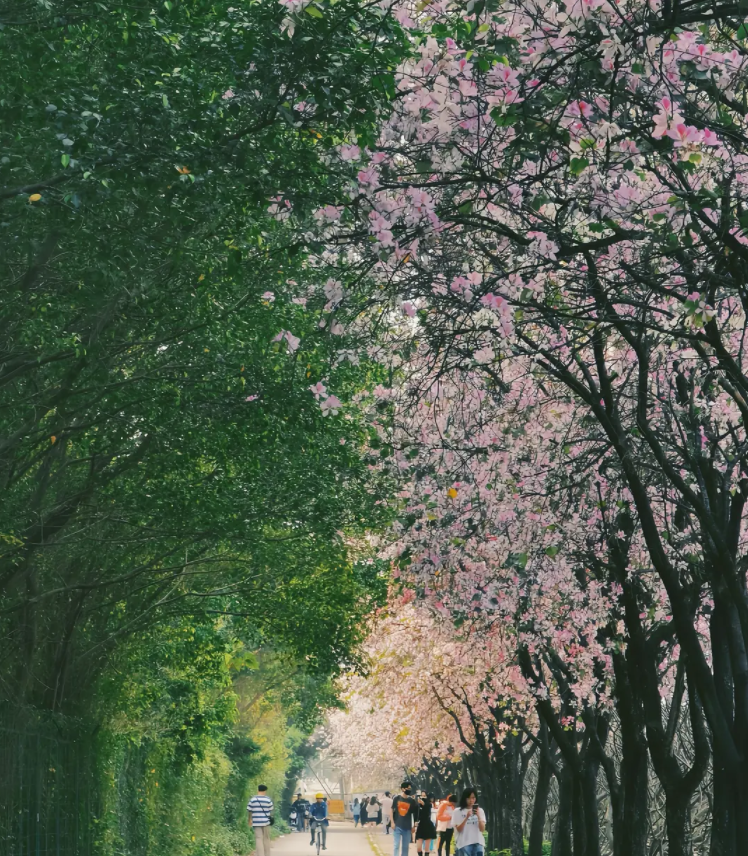 91d6c44f115565da6129405b5e33b83.png