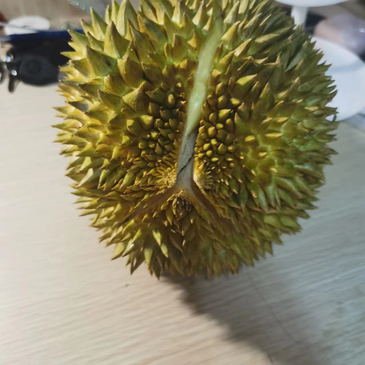 微信图片_20230310150019.jpg