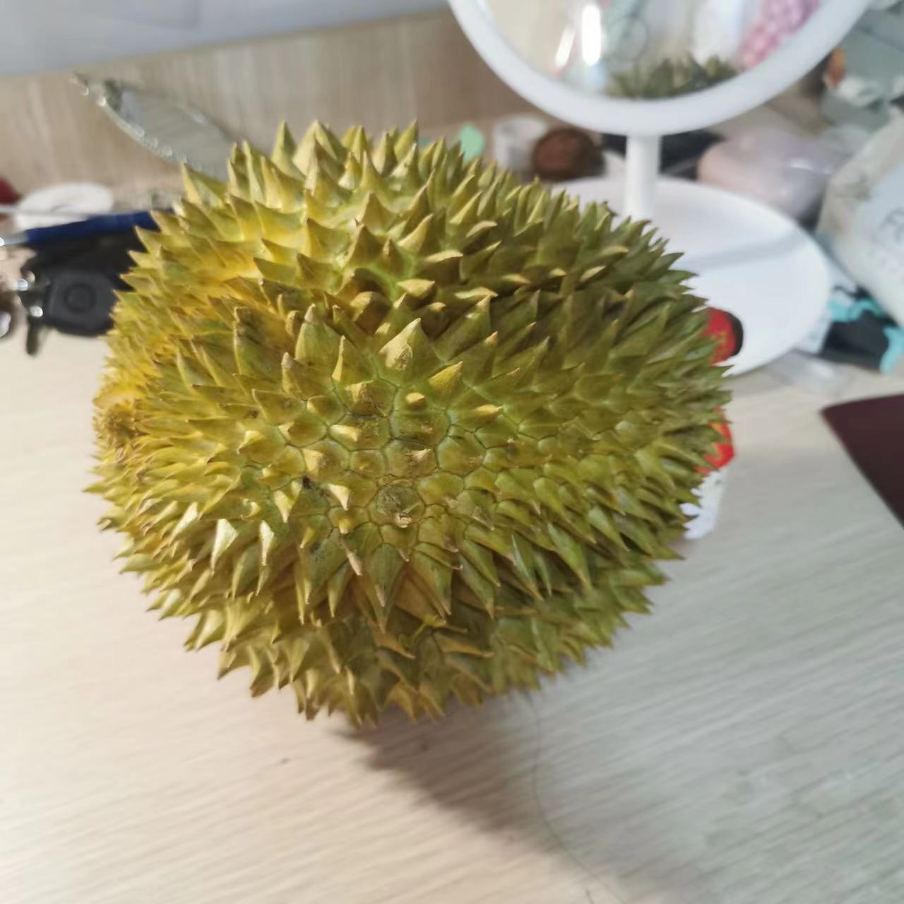 微信图片_20230310150023.jpg