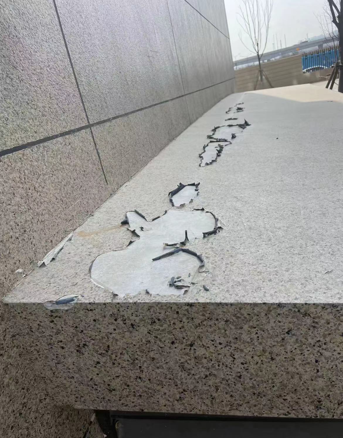 微信图片_20230310154157.jpg