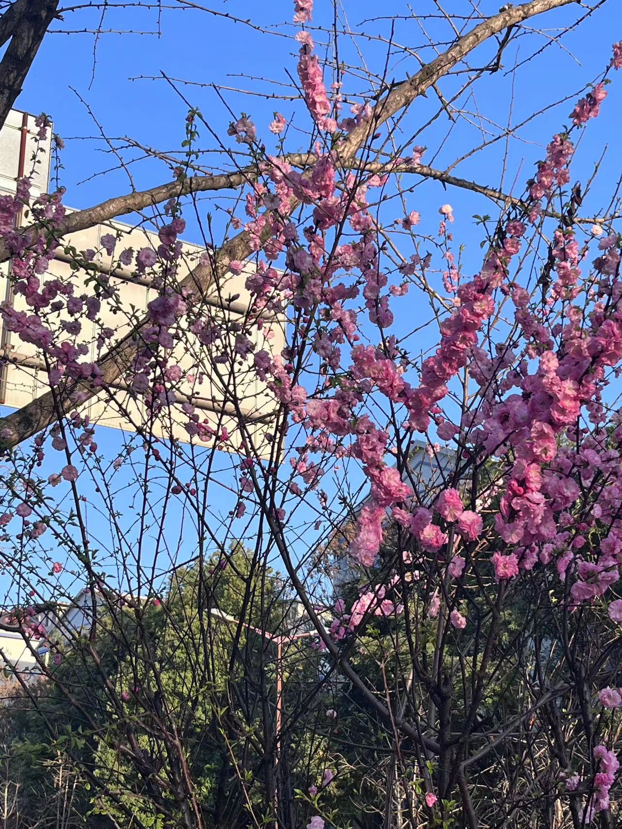 微信图片_20230315083010.jpg