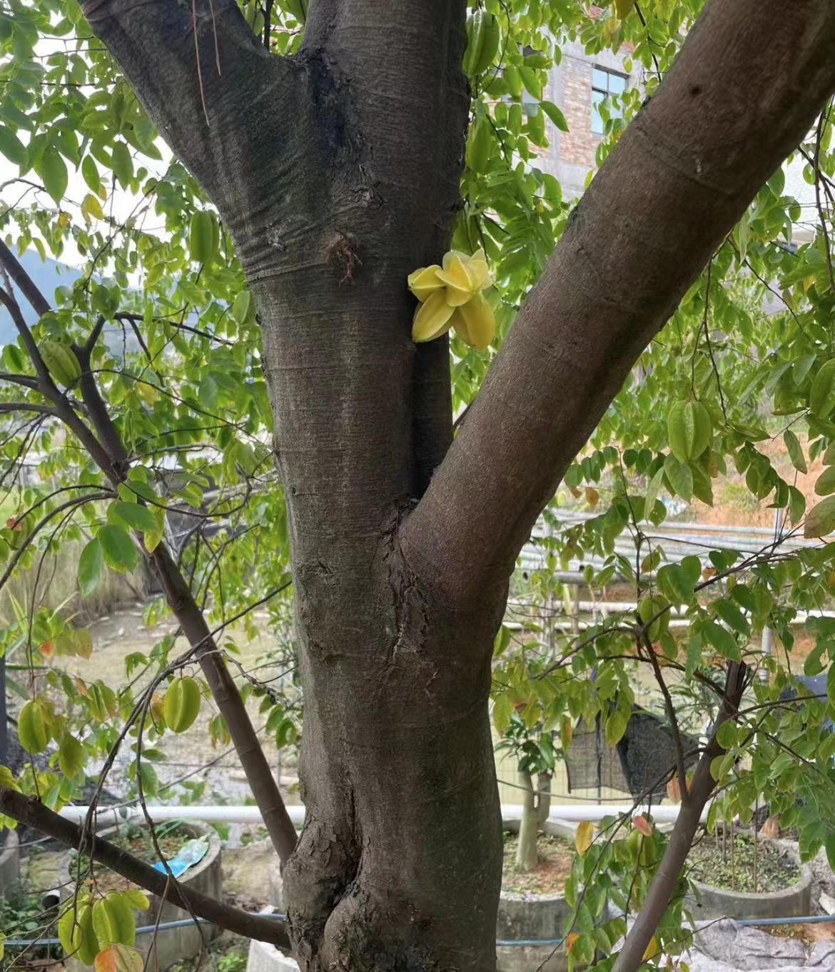 微信图片_20230316112423.jpg