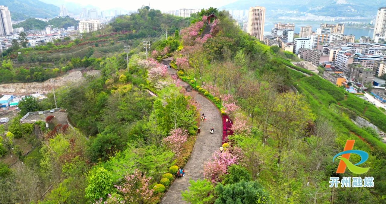 藏不住了，开州竟然有这么美的樱花走廊！-雷火电竞首页(图5)