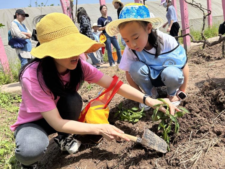 相约农场享春光，动手体验乐生活—记汉丰第一小学一（2）班春季研学之旅：半岛官方体育网站入口(图11)