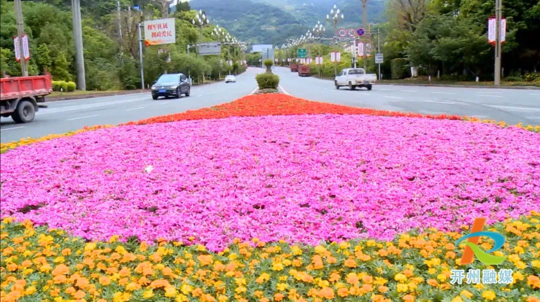 米乐M6在线登录官网|五彩缤纷的百万鲜花将要点亮美丽开州，香满全城(图7)