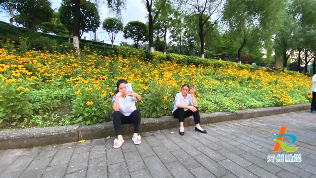 ‘best365官网登录入口’滨湖公园的花海好美，趁着好天气快去拍照吧！(图4)