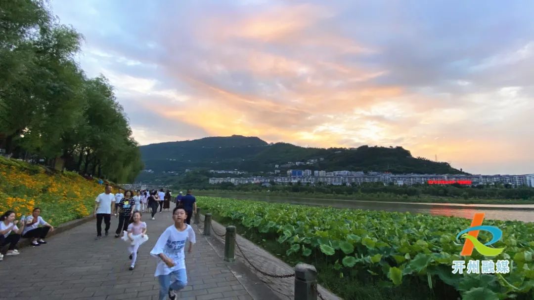 ‘best365官网登录入口’滨湖公园的花海好美，趁着好天气快去拍照吧！(图5)